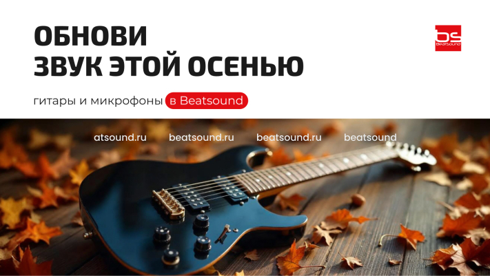Обнови звук этой осенью: что изменить в гитарном сетапе